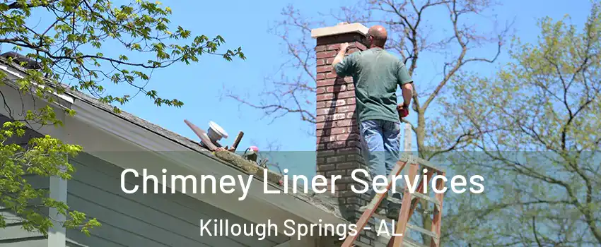 Chimney Liner Services Killough Springs - AL