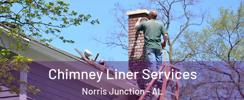 Chimney Liner Services Norris Junction - AL