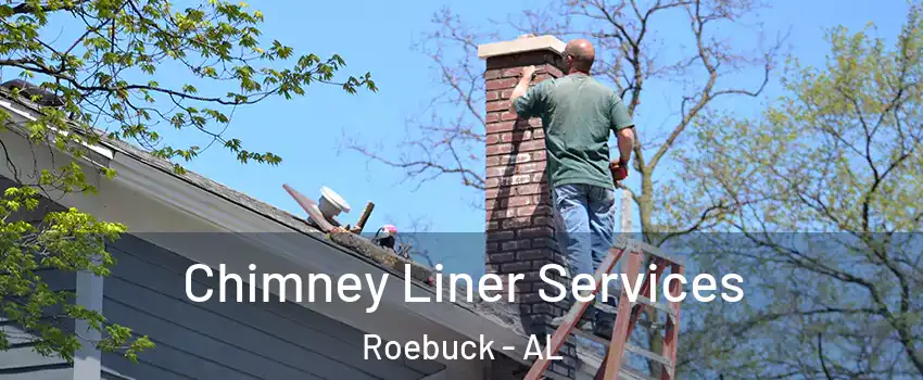 Chimney Liner Services Roebuck - AL