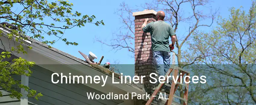 Chimney Liner Services Woodland Park - AL