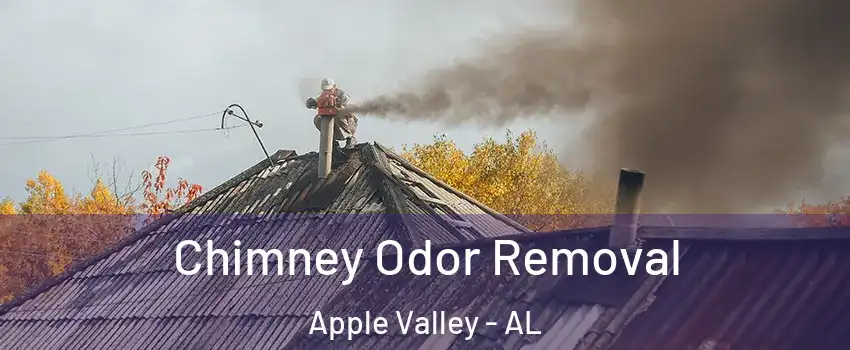 Chimney Odor Removal Apple Valley - AL