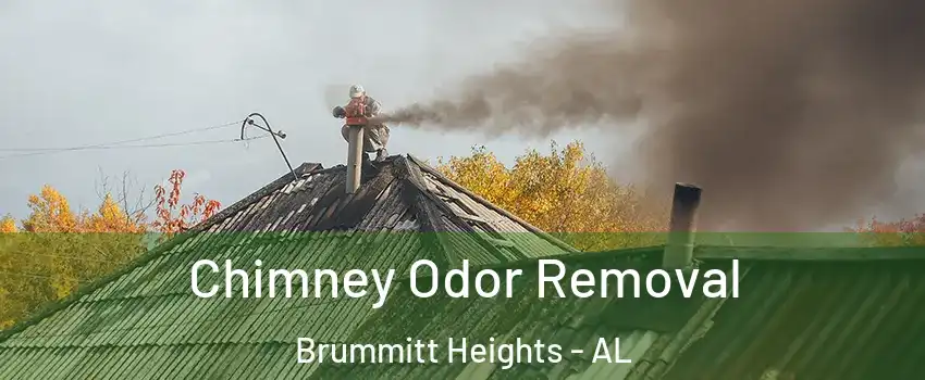 Chimney Odor Removal Brummitt Heights - AL