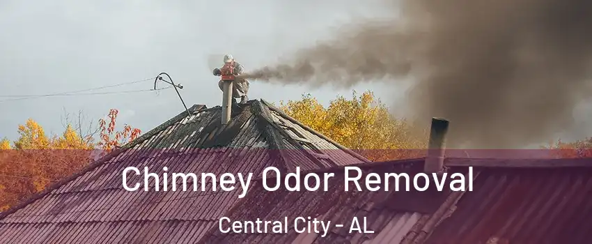 Chimney Odor Removal Central City - AL