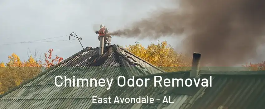 Chimney Odor Removal East Avondale - AL