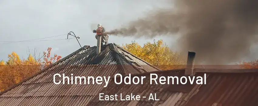 Chimney Odor Removal East Lake - AL