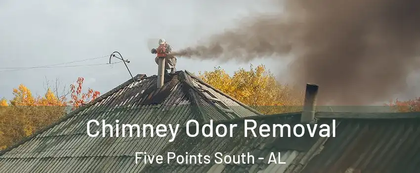 Chimney Odor Removal Five Points South - AL