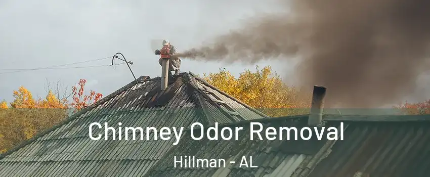 Chimney Odor Removal Hillman - AL