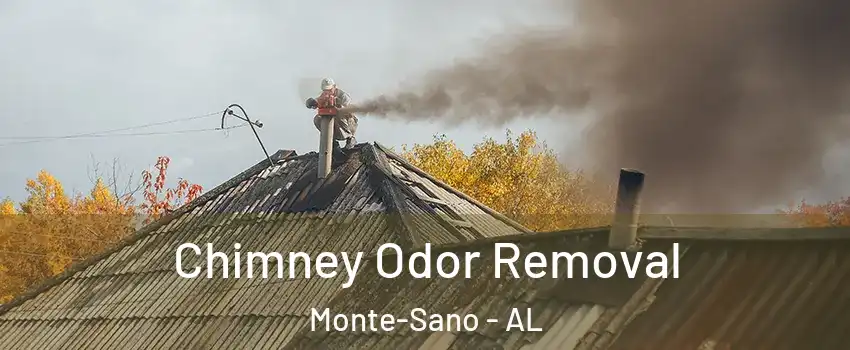 Chimney Odor Removal Monte-Sano - AL