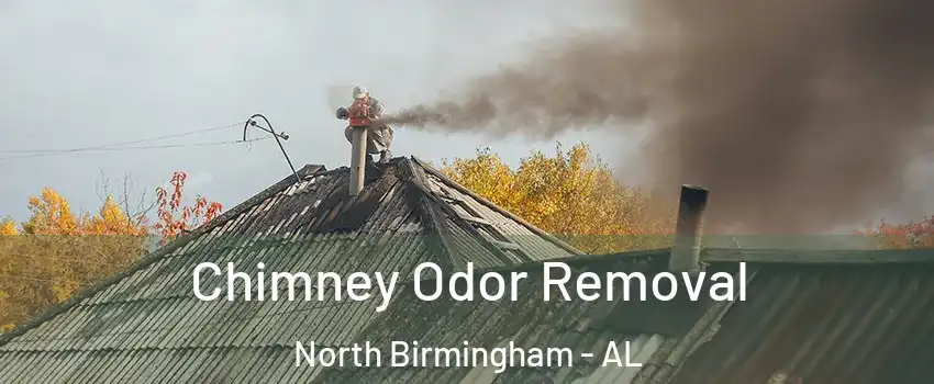 Chimney Odor Removal North Birmingham - AL