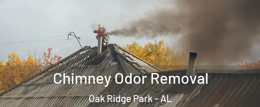 Chimney Odor Removal Oak Ridge Park - AL