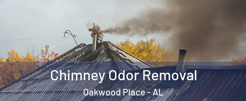 Chimney Odor Removal Oakwood Place - AL