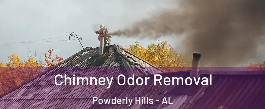 Chimney Odor Removal Powderly Hills - AL