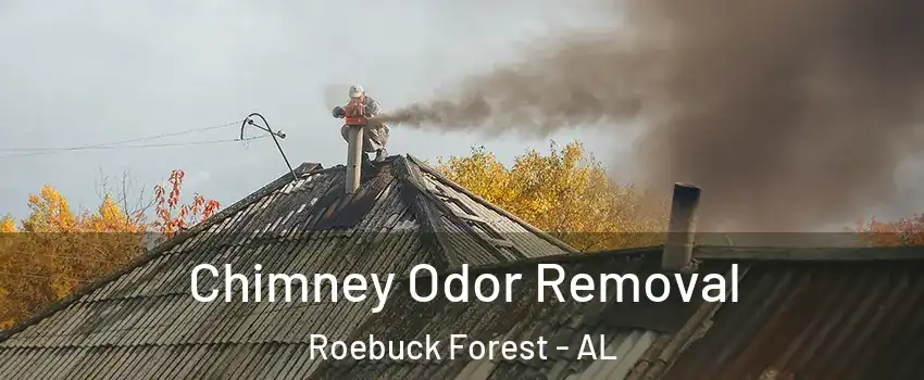 Chimney Odor Removal Roebuck Forest - AL