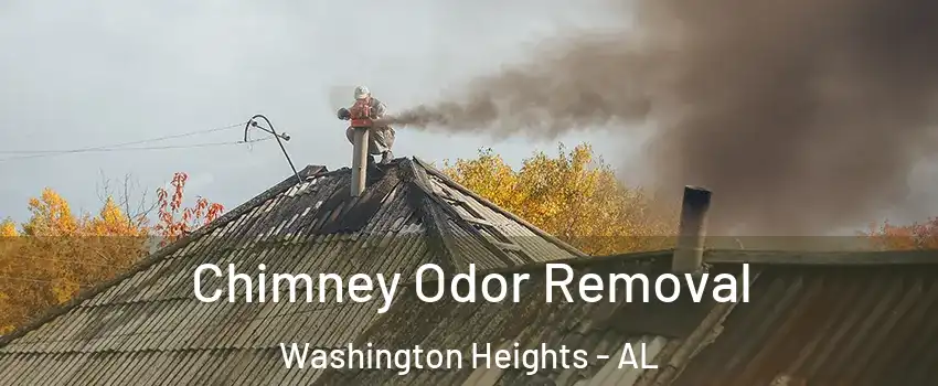 Chimney Odor Removal Washington Heights - AL