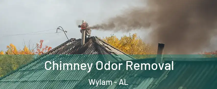 Chimney Odor Removal Wylam - AL