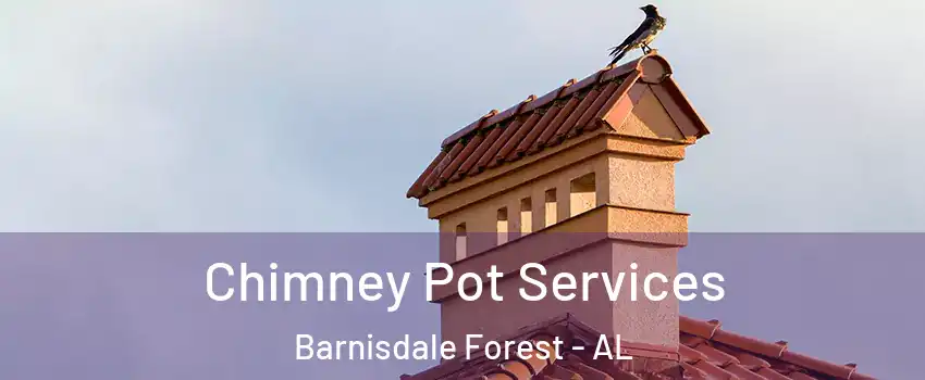 Chimney Pot Services Barnisdale Forest - AL