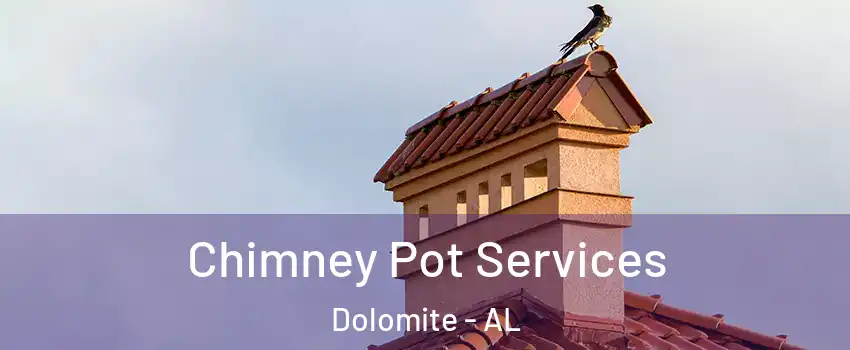 Chimney Pot Services Dolomite - AL