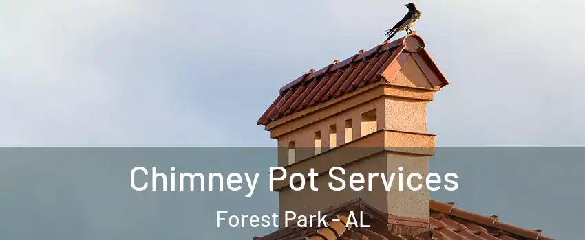 Chimney Pot Services Forest Park - AL