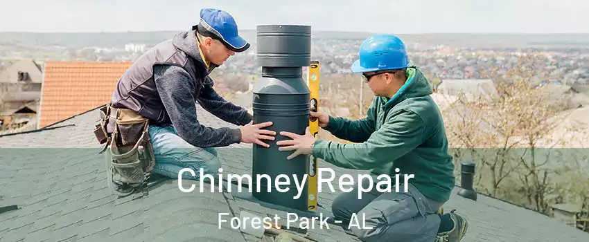 Chimney Repair Forest Park - AL