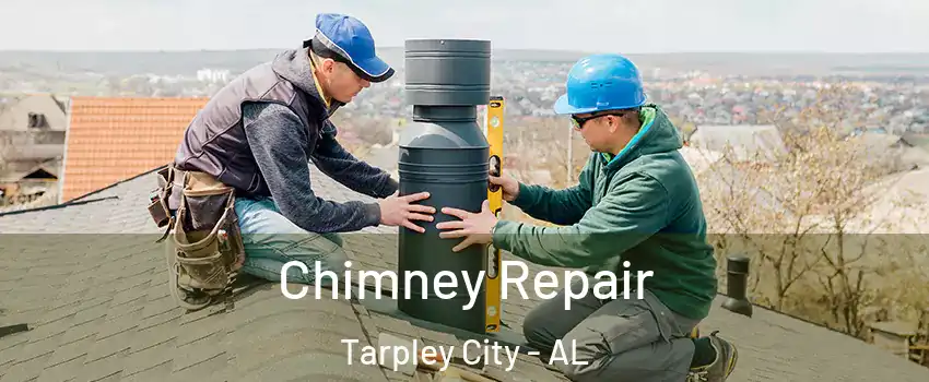 Chimney Repair Tarpley City - AL