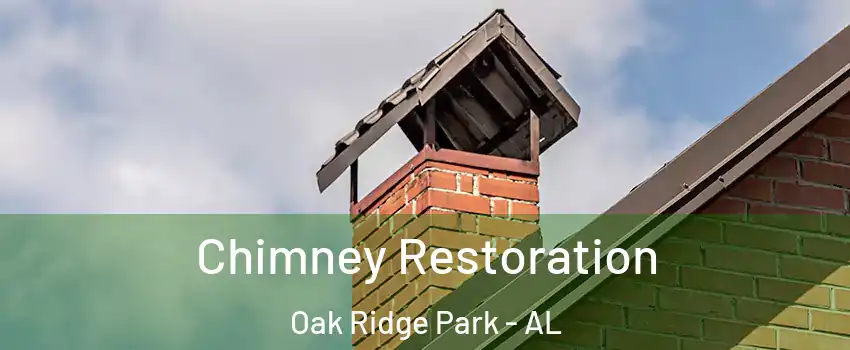 Chimney Restoration Oak Ridge Park - AL