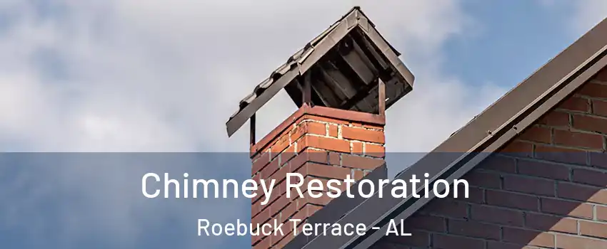 Chimney Restoration Roebuck Terrace - AL