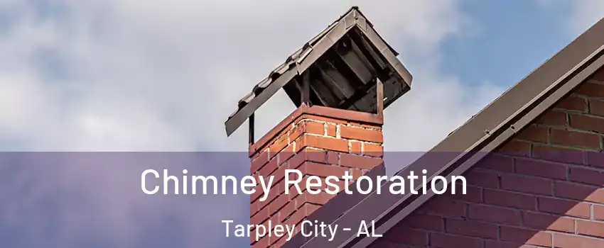 Chimney Restoration Tarpley City - AL