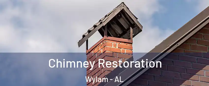 Chimney Restoration Wylam - AL