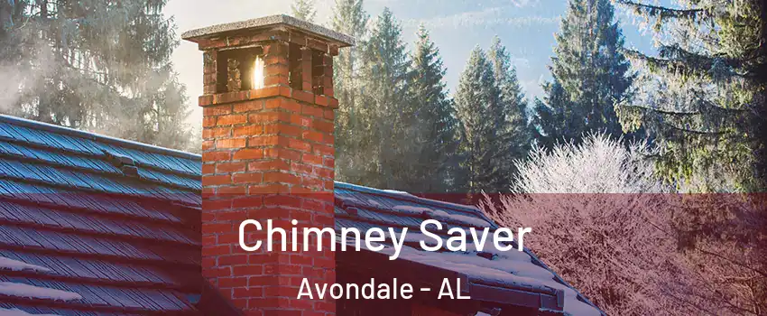 Chimney Saver Avondale - AL