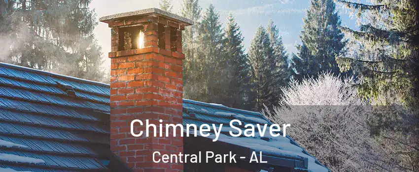 Chimney Saver Central Park - AL