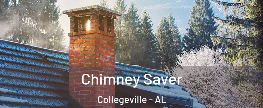 Chimney Saver Collegeville - AL