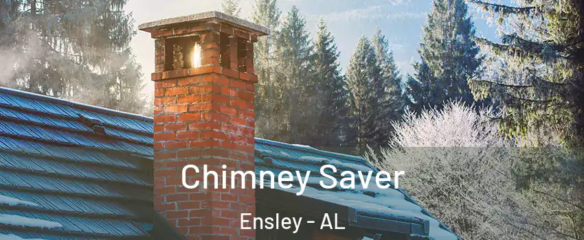 Chimney Saver Ensley - AL