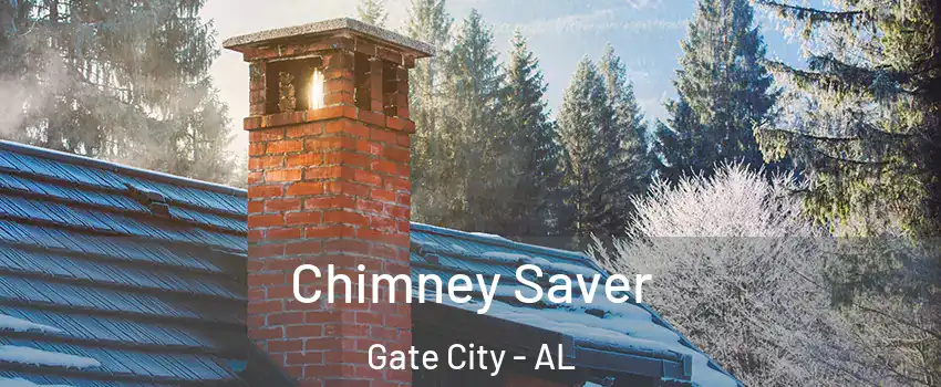 Chimney Saver Gate City - AL