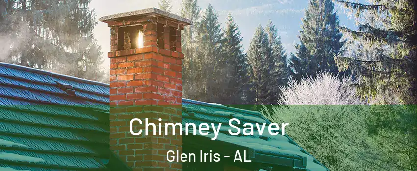 Chimney Saver Glen Iris - AL