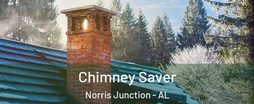 Chimney Saver Norris Junction - AL