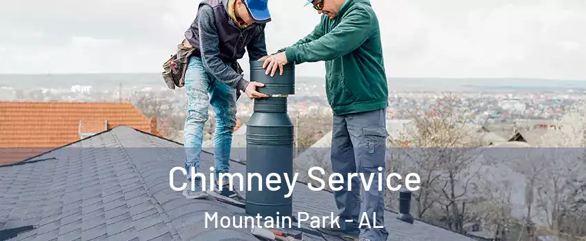 Chimney Service Mountain Park - AL