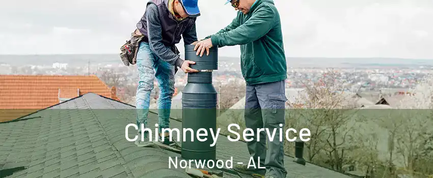 Chimney Service Norwood - AL