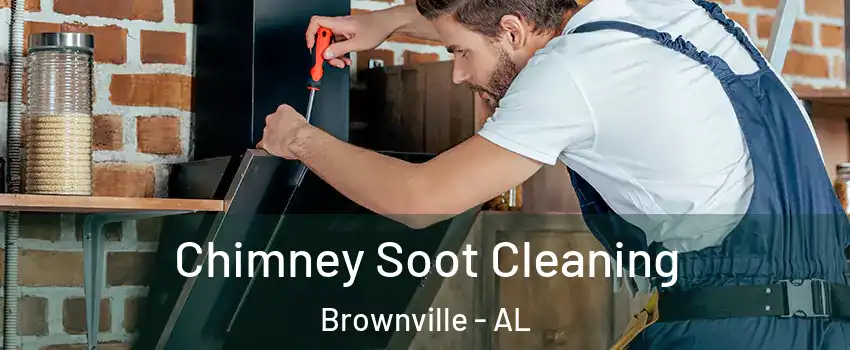 Chimney Soot Cleaning Brownville - AL