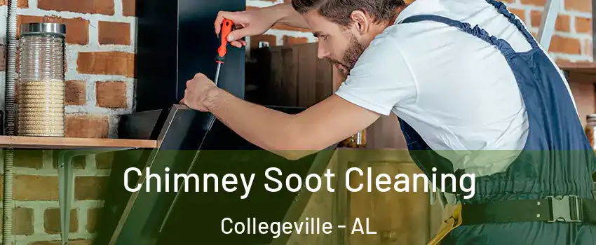 Chimney Soot Cleaning Collegeville - AL