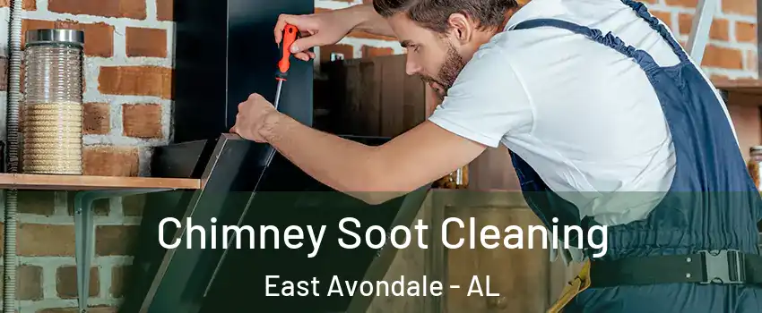 Chimney Soot Cleaning East Avondale - AL