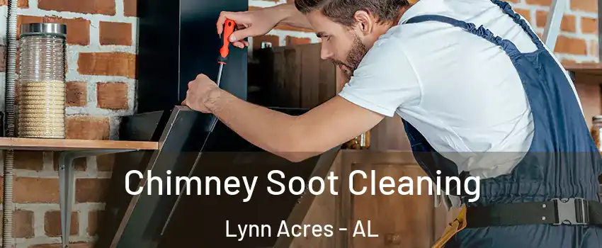 Chimney Soot Cleaning Lynn Acres - AL