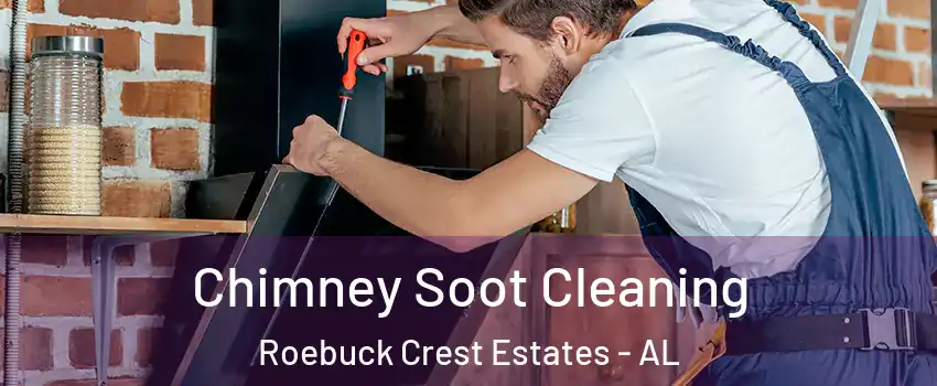 Chimney Soot Cleaning Roebuck Crest Estates - AL