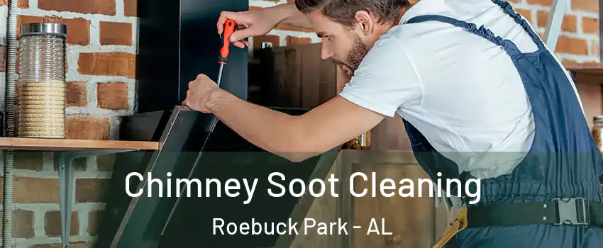 Chimney Soot Cleaning Roebuck Park - AL