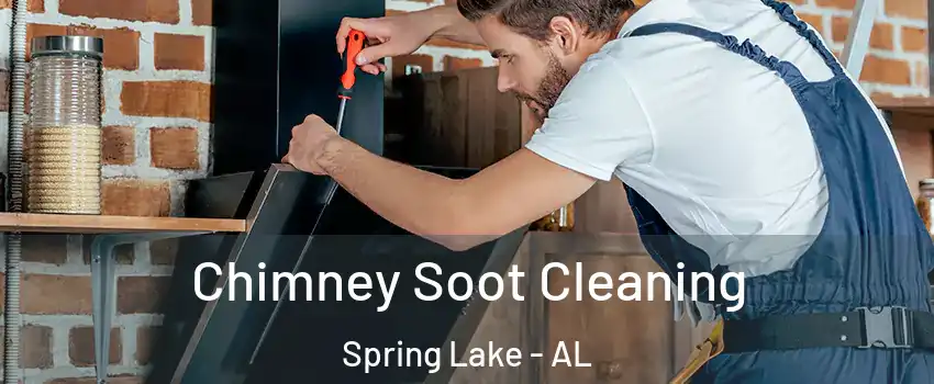 Chimney Soot Cleaning Spring Lake - AL