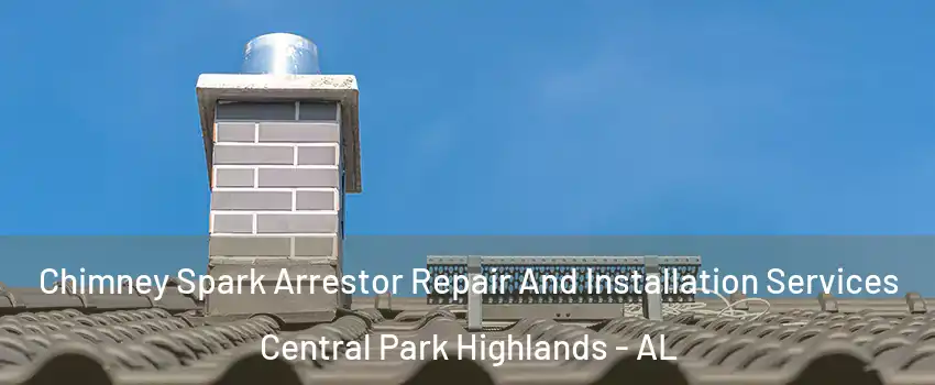 Chimney Spark Arrestor Repair And Installation Services Central Park Highlands - AL