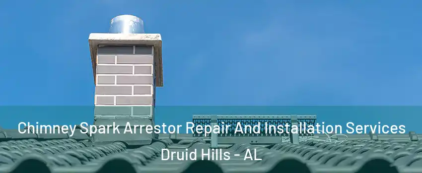 Chimney Spark Arrestor Repair And Installation Services Druid Hills - AL