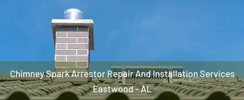 Chimney Spark Arrestor Repair And Installation Services Eastwood - AL