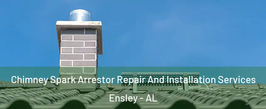 Chimney Spark Arrestor Repair And Installation Services Ensley - AL