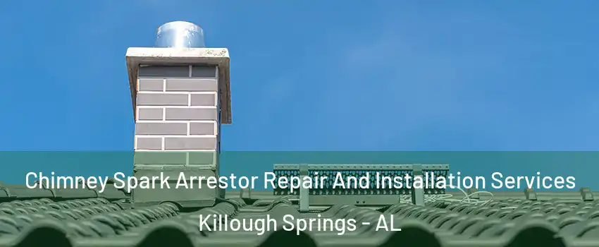 Chimney Spark Arrestor Repair And Installation Services Killough Springs - AL