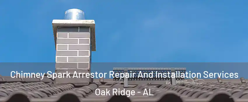 Chimney Spark Arrestor Repair And Installation Services Oak Ridge - AL